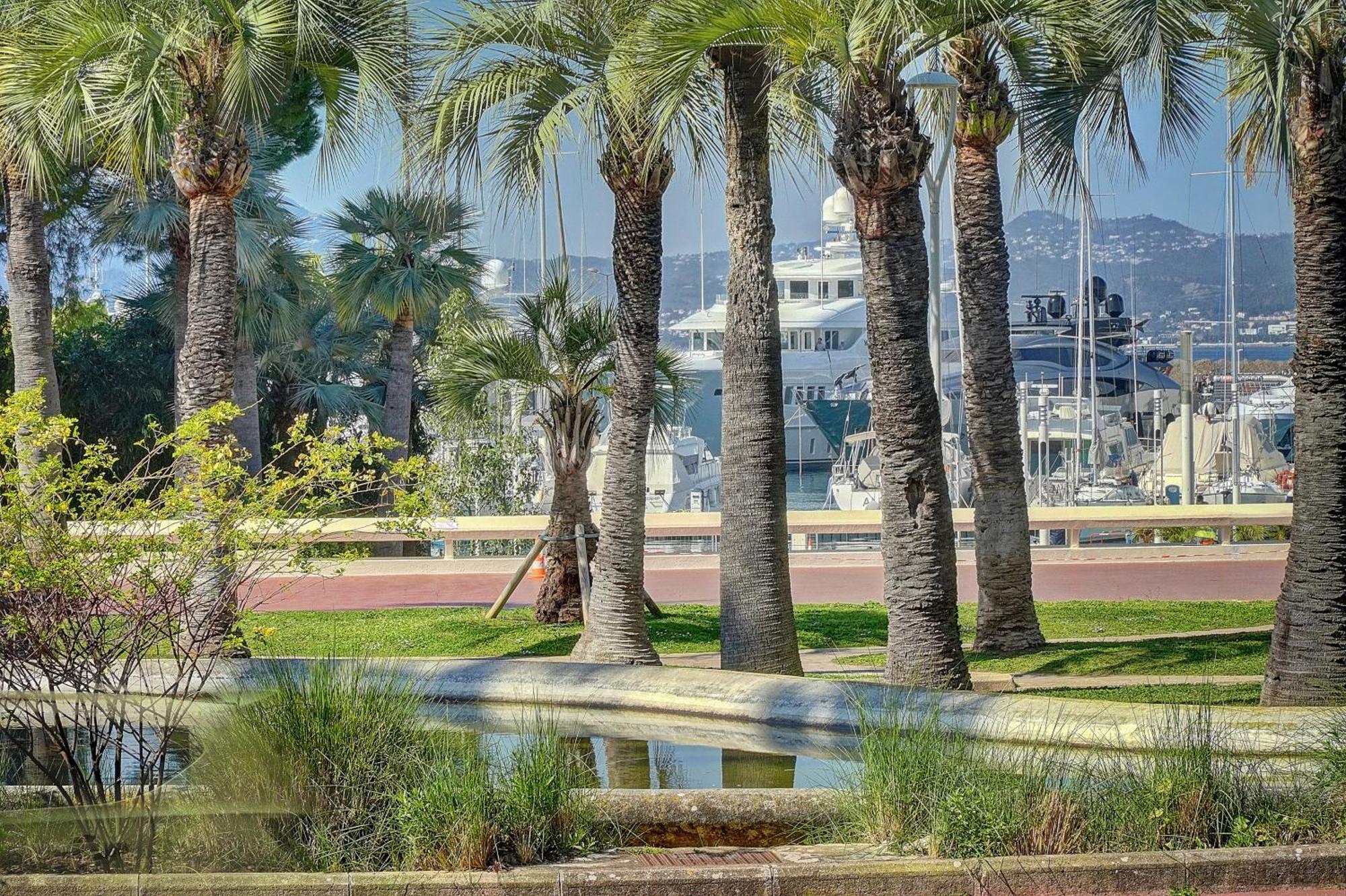 Le Palm - 100M Plage - Croisette - Verriere Cote D'Azur Κάννες Εξωτερικό φωτογραφία