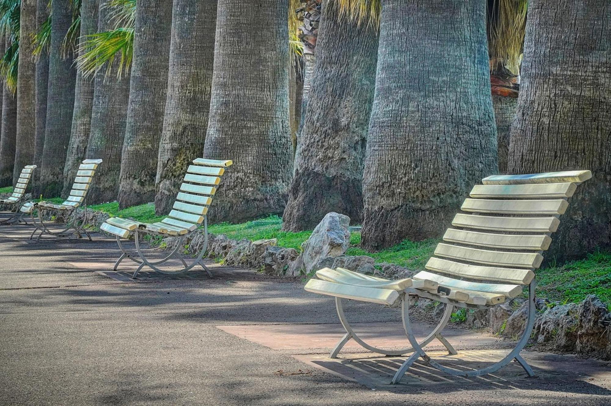 Le Palm - 100M Plage - Croisette - Verriere Cote D'Azur Κάννες Εξωτερικό φωτογραφία